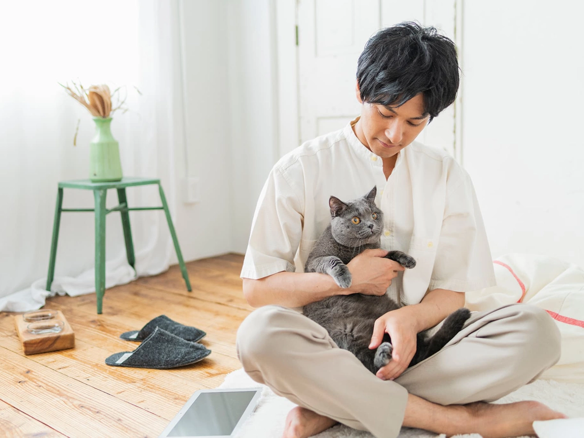 初めて猫を飼いたいと考えています♪オススメの描種を教えてください！